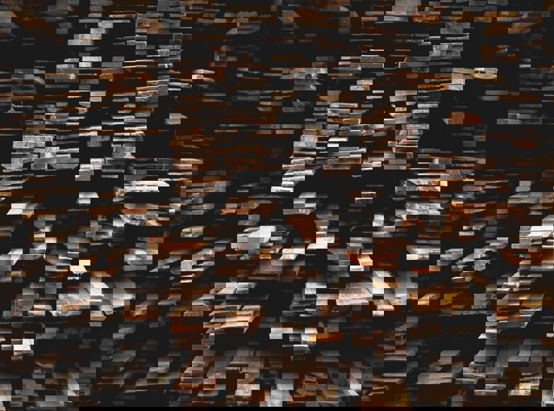 Alex Jones Bbkvrh0vzb4 Unsplash